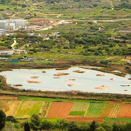 Seafront 公寓 梅利哈